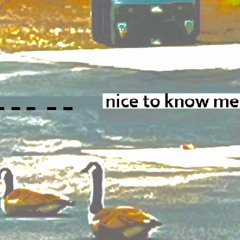 nice to know me