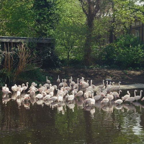 flevorparknest 2025-03-09