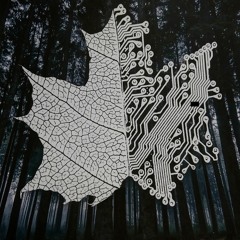 Back to The Cave with Plenus Tribe