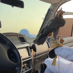 ‎⁨ياهاجسي لاهنت منته بمعذور ⁩