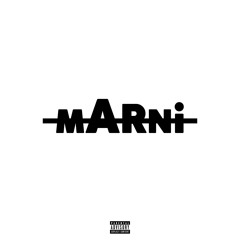 Ion Like Marni (Concept Audio)