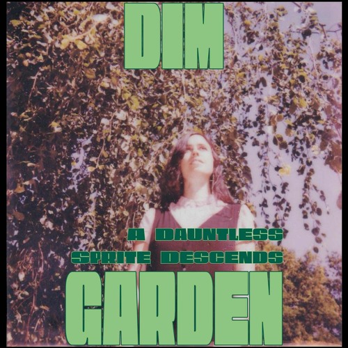 Dim Garden - A Propos De Swann