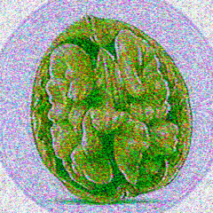 🪵・ῳąƖŋųɬ・ᴡᴀʟɴᴜᴛ・🪵