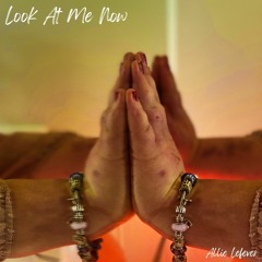 Look At Me Now by Allie Lefever