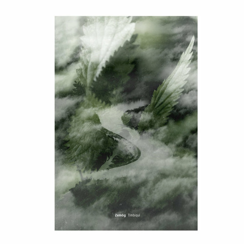 PREMIERE: Zemög - Chiyangua [Circular Limited]