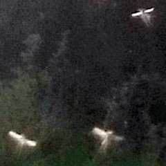 A Gentle Moment, Interrupted By Daylight