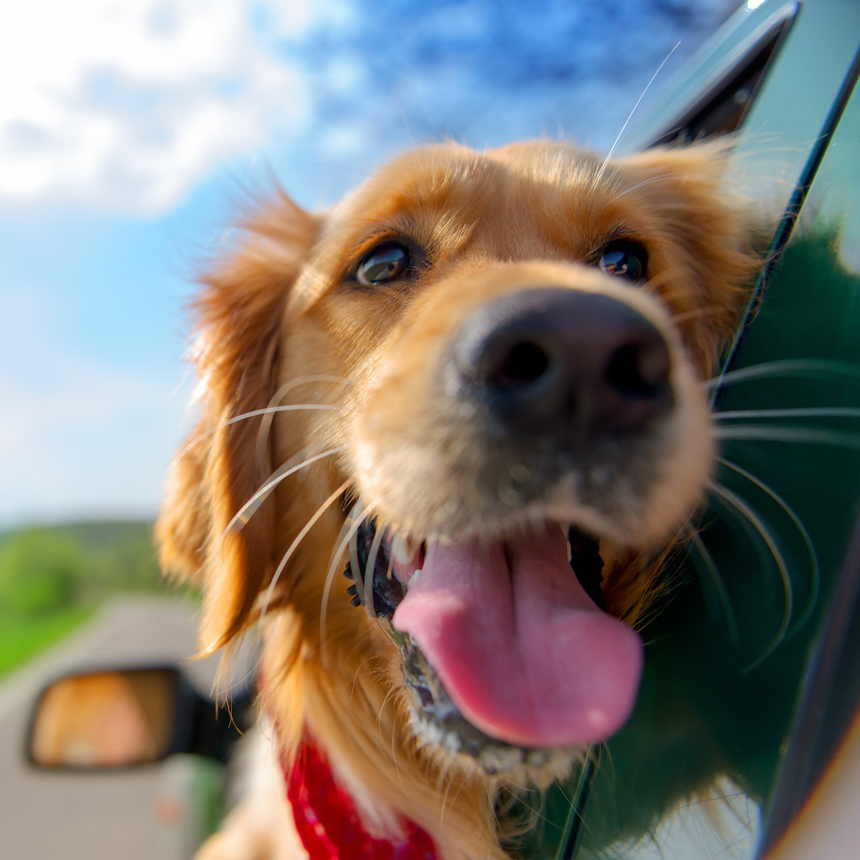 EPISODE 358 The Most Popular Course at Harvard