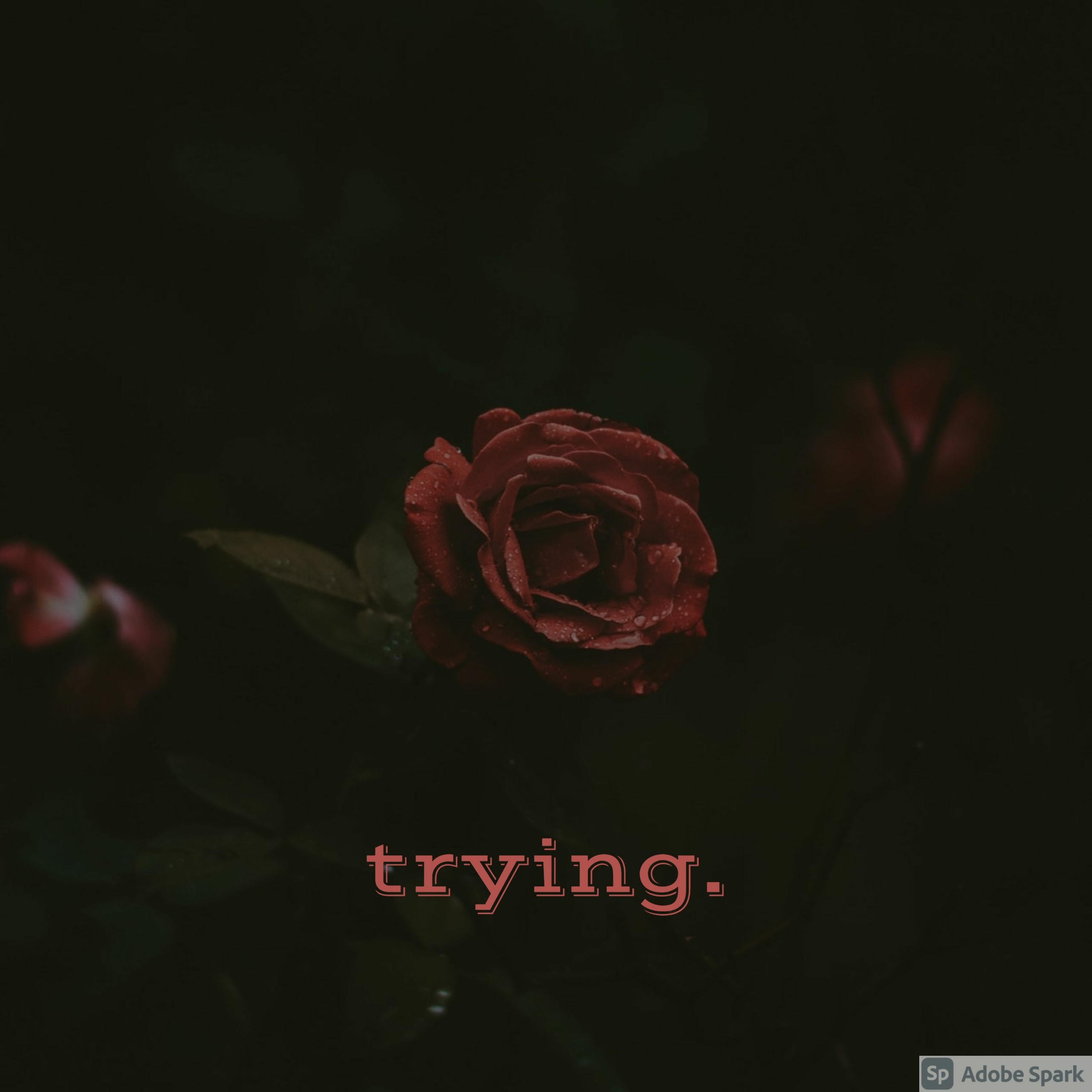 Trying (feat. ChokeOff Sama) episode artwork