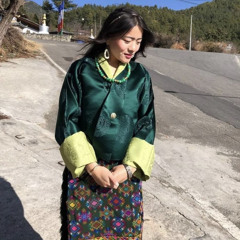 Sergyel (Dzongkha Love Songs Mashup) - Tandin Wangmo Dorji (5MB studio).mp3