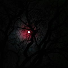 MISSING FACES(PROD.Requiem Cult)