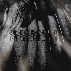 Afterlife (Remix)
