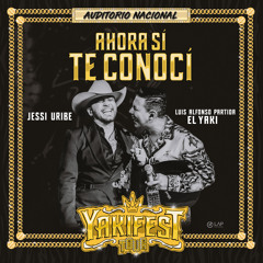 Ahora Sí Te Conocí (En Vivo)