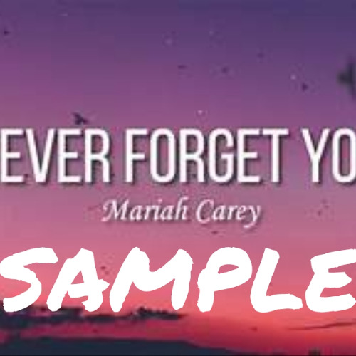 Never forget you SAMPLE