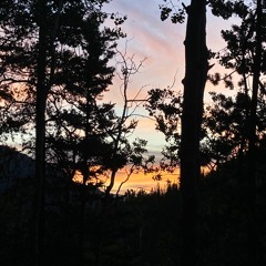 Dawn Song (voice memo)