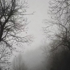 lmnl - snow dream sped up
