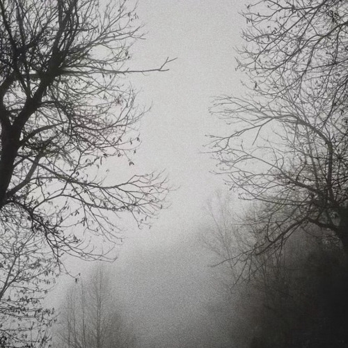 lmnl - snow dream sped up