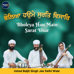 Bholeya Hau Main Surat Visar (Ustad Baljit Singh Ji Delhi Wale)