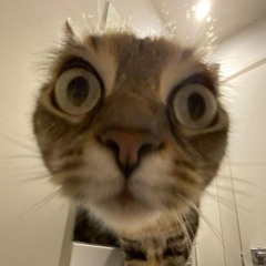 ciemno (EARAPE REMIX)