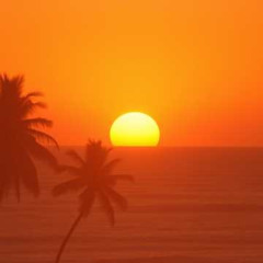 Sunset Beat