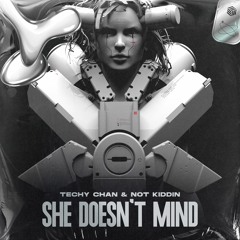 Techy Chan & Not Kiddin - She Doesn't Mind (Techno Remix)
