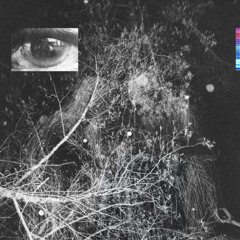 randomly [lucki rmx]