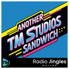 NEW: Another TM Studios Sandwich #2 - 23 03 25