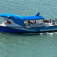 Review Special Price Mega Bite Dolphin Tour Boat In Clearwater Beach