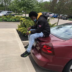 YXNG LEVY - UPPER ECHELON