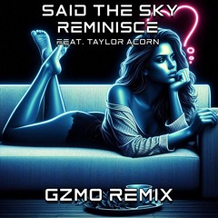 Said The Sky - Reminisce feat. Taylor Acorn (GZMO Remix)