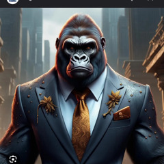 Ya’Boy Rafeek - My Team