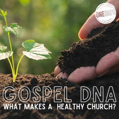 Gospel DNA: Gospel Giving - Andy Buchan