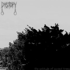 The Solitude of Ancient Trees
