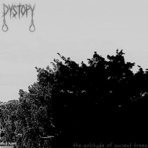 The Solitude of Ancient Trees