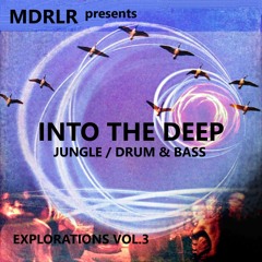 MDRLR - INTO THE DEEP - Explorations Vol.3