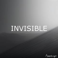 Invisible