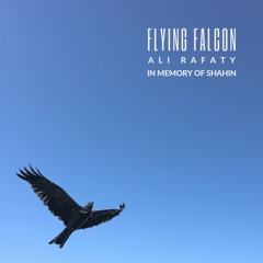 Flying Falcon