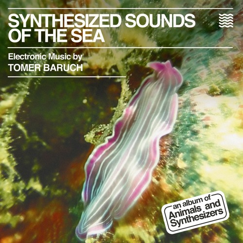 Synthesized Sounds of the Sea