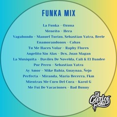 DJ Carlos Peña - Mix Funka