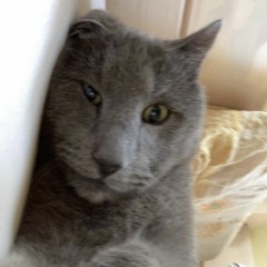 sandr0 - people change