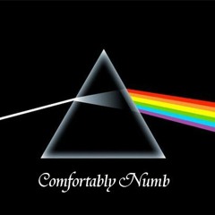 Comfortably Numb - Pink Floyd cover