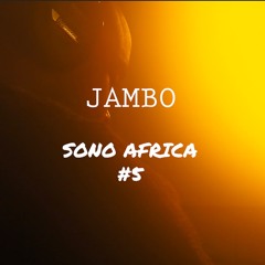 Sono Africa #5 - Special Elektroniki - Vinyl Mix - Afro Electronique