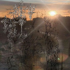 SHINE///////