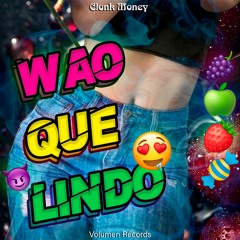 WAO QUE LINDO