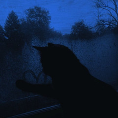diadelluviA