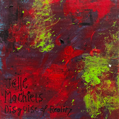 Jelle Machiels - Back to Work