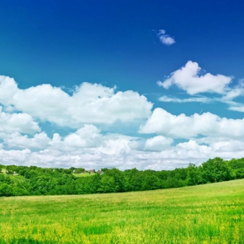 Stream Antenas Best Background Music DOWNLOAD By C l brationcommune stream-android-listen-to-avicultura-best-background-music-download