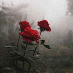 Bandook | Nirvair Pannu | ParasiteDARK