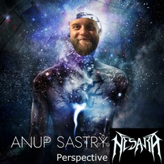 Anup Sastry - Perspective feat. me