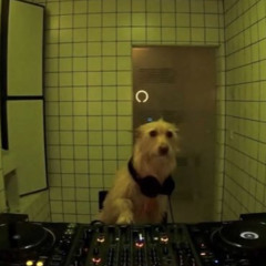 dark tech house JR