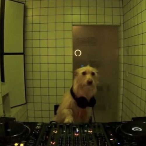 dark tech house JR